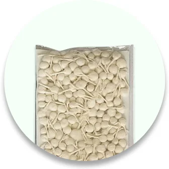  Camphor & Wicks