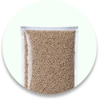 Whole Grains