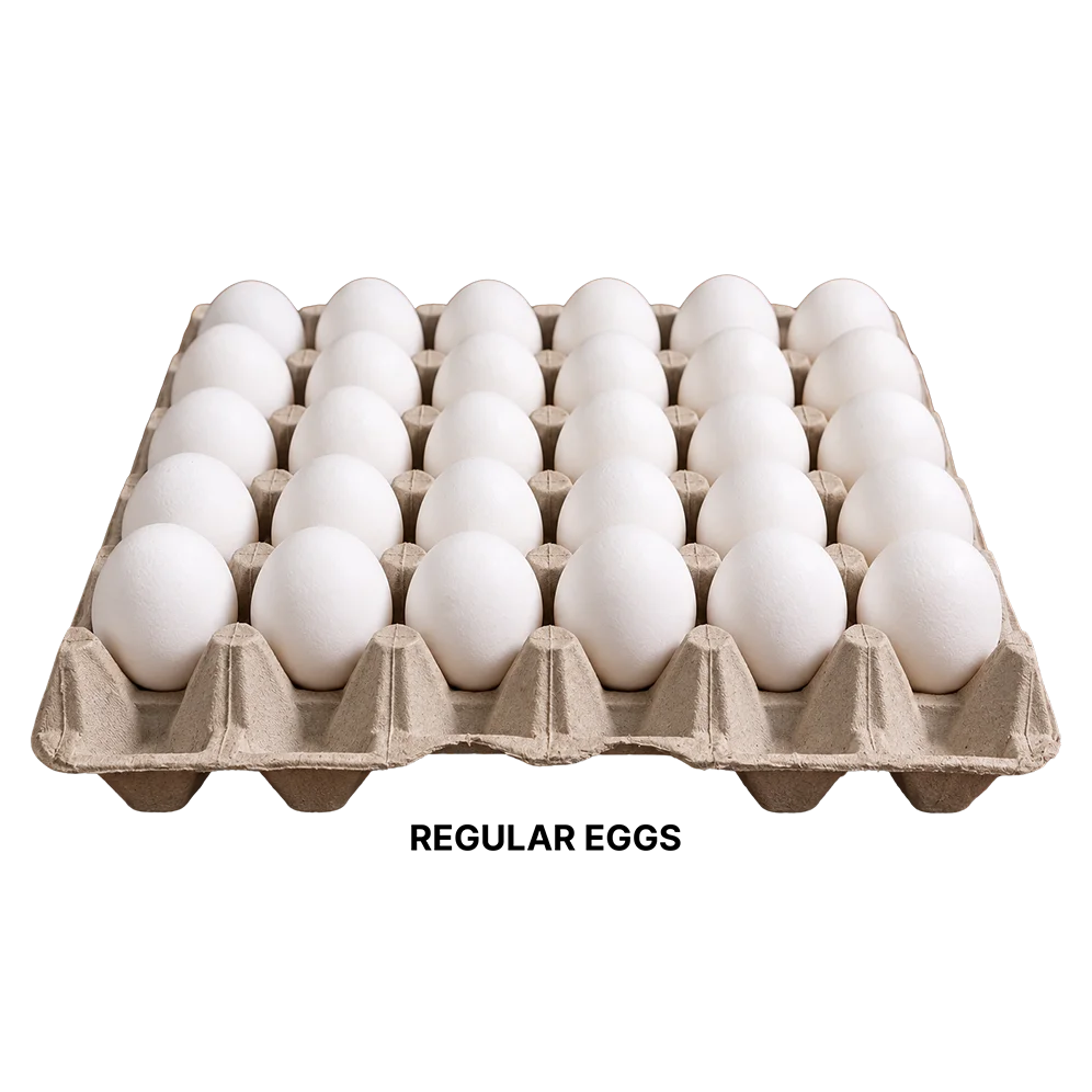 White Eggs Regular